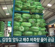 정부, 김장철 앞두고 배추 비축량 풀어 공급 확대