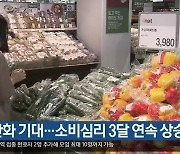 규제완화 기대..대구·경북 소비심리 3달 연속 상승