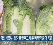 농림축산식품부, 김장철 앞두고 배추 비축량 풀어 공급 확대
