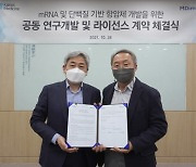 카이노스메드, 엠디뮨과 함암제 개발 공동연구 계약 체결