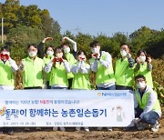 NH농협은행, 수확기 맞아 농가에 5개 부서 직원 출동