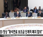 G20 정상 "화석연료 보조금 단계적 폐지 합의"