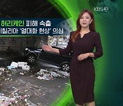 [지구촌 날씨]이탈리아 남부 지중해성 허리케인 피해 속출