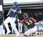 Dinos fail to reach playoffs, lose chance to defend KBO title