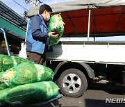 김장철 앞두고 배추 생산량 감소