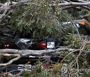 AUSTRALIA WEATHER MELBOURNE WILD