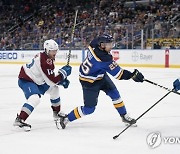 Avalanche Blues Hockey