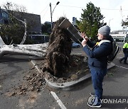 호주 빅토리아주, 폭우에 곳곳서 피해 속출..16만 가구 정전