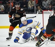 Sabres Ducks Hockey