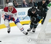 Canadiens Sharks Hockey