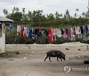 Virus Outbreak Tonga