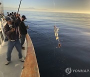 California Oil Spill Fishing