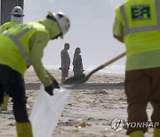 California Oil Spill Fishing