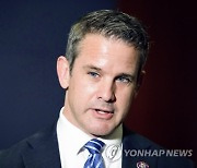 Election 2022 Kinzinger