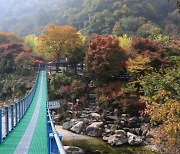 옥천군 장령산자연휴양림, 가을 단풍객 맞이 준비 한창