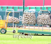 [MD포토] '2021 프로야구 순위 싸움 최종 승자는?'