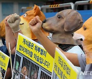 "개 입에 전기흐르는 쇠꼬챙이" 60마리 도축한 업자 벌금 100만원