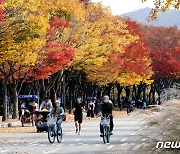 '완연한 가을 날씨' 울긋불긋 단풍 명소마다 나들이객 북적