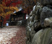 산사에 내려앉은 가을