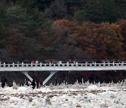 백담교에 줄지어 선 단풍 인파