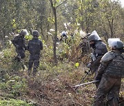 유엔사 "DMZ 남북관리구역 동해지구서 지뢰제거 작전 지원"