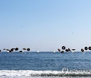 연막탄과 함께 돌진