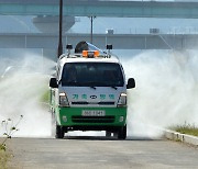 충남 천안 야생조류에서 고병원성 조류인플루엔자 확진..7개월 만에 처음