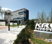 가을 배추 도매가격 10Kg당 7000원..평년 대비 9%↑