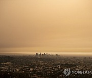 기후과학자 10명 중 8명 "죽기 전 기후변화 파국 볼 것 같다" 네이처 설문 결과