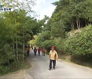 [여기는 전남] 국립난대수목원 조성사업 본격화 '관심'