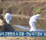 충남서 고병원성 AI 검출..전남 위기경보 '심각'