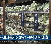 울산 10월 소비자물가 3.3%↑..9년여 만에 최고 상승