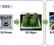 3D프린팅 응용제품 특허출원 연평균 40% 급증