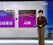 "자영업자 은행 대출 막혀 고금리 대출로 밀려났다"