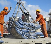 Cement producers increase sale prices amid rising input costs