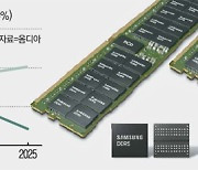 D램값 하락 구원투수 되나..삼성전자 신형 '비밀병기'는
