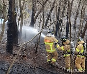 목포 아파트 뒷산에서 불..1시간20여분만에 진화