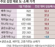 '金배추'에 김장하기 두렵다..  유통업계 "김포족을 잡아라"