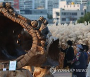 울산서 열린 정원산업박람회 찾은 시민들