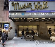 USA NEW YORK RADIO CITY XMAS SHOW ANIMALS