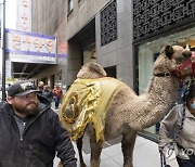 USA NEW YORK RADIO CITY XMAS SHOW ANIMALS