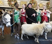 USA NEW YORK RADIO CITY XMAS SHOW ANIMALS