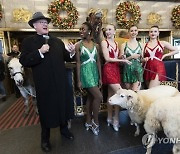 USA NEW YORK RADIO CITY XMAS SHOW ANIMALS