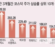 "공급망 차질? 그게 뭔데"..무풍지대 주식으로 돈 몰린다