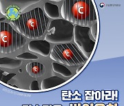 탄소 잡아라! 탄소감옥 '바이오차'