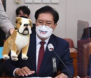 "대똥이 데려와!" 국회서 벌어진 '인형 쟁탈전', 왜?