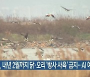 경기도, 내년 2월까지 닭·오리 '방사 사육' 금지..AI 예방 차원