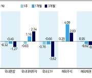 해외형 잘 나가는데..야속한 국내형 펀드