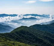 지리산 케이블카, 이번엔 성사될까