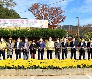 진도 곳곳에 국화작품 1만여점 전시.."가을정취 물씬"